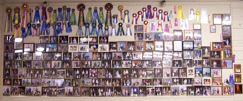 Total Recall School for Dogs