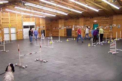 People practicing dog agility training indoors with obstacles.