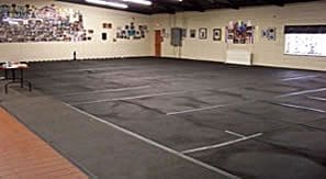 Total Recall School for Dogs