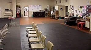 Total Recall School for Dogs