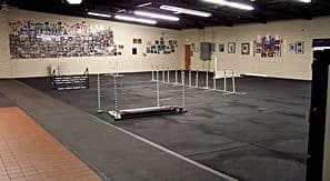 Total Recall School for Dogs