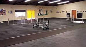 Total Recall School for Dogs