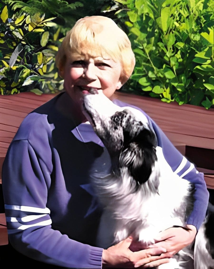 Total Recall School for Dogs